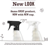 Mrs. MEYER'S CLEAN DAY Multi-Surface Cleaner, Gingerbread, 16 Fl Oz (Pack of 6)