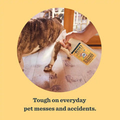 Mrs. MEYER'S CLEAN DAY Pet Multi-Surface Cleaner,Orange Blossom Scent,16oz,(Pack of 2)