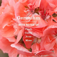 Mrs. Meyer's Clean Day Room Freshener Spray, Geranium, Non-Aerosol & Made with Essential Oils, 8 FL OZ (Pack of 4)