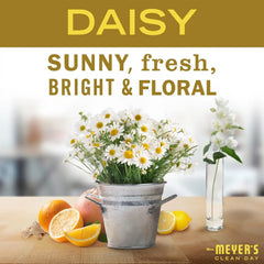Mrs. MEYER'S CLEAN DAY Liquid Hand Soap, Daisy Scent, 12.5 Ounce Bottle,(Pack of 6)