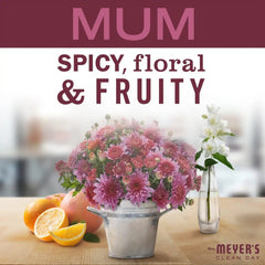 MRS. MEYER'S CLEAN DAY Liquid Dish Soap, Mum, 16 fl. oz