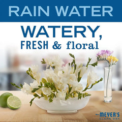 MRS. MEYER'S CLEAN DAY Ultra Concentrated Laundry Detergent,Rain Water Scent,24.3 fl oz,(Pack of 2)
