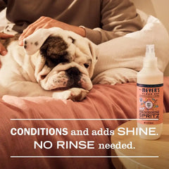 MRS. MEYER'S Clean Day Dog Deodorizing Spray, White Peach Scent, 8oz