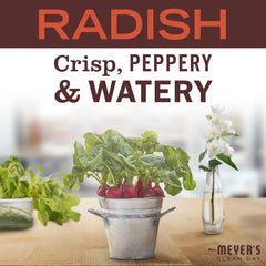 MRS. MEYER'S CLEAN DAY Liquid Dish Soap, Radish, 16 fl. oz