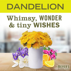 Mrs. MEYER'S CLEAN DAY Liquid Hand Soap, Dandelion Scent, 12.5 Ounce Bottle, (Pack of 2)