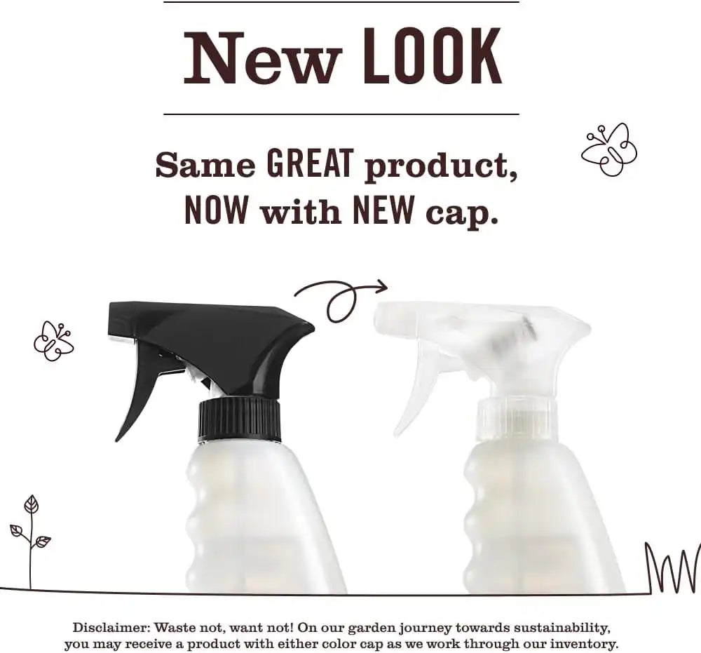 Mrs. MEYER'S CLEAN DAY Multi-Surface Cleaner, Gingerbread, 16 Fl Oz (Pack of 6)