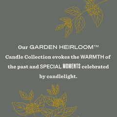 MRS. MEYER'S CLEAN DAY Garden Heirloom, Wild Mint Scent, 14 oz Candle | Fills Home with Long-Lasting Scent, Scented Soy Wax Candle, 65 Hour Burn TimeLarge