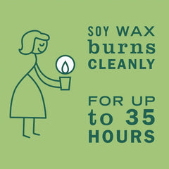 MRS. MEYER'S Clean Day Soy Aromatherapy Candle, 35 Hour Burn Time, Made with Soy Wax and Essential Oils, Limited Edition Iowa Pine, 7.2 oz - Pack of 2 | Fills Home with Long-Lasting Scent, 35 Hour Burn Time per Candle, Made with Soy Wax