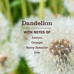 MRS. MEYER'S CLEAN DAY Liquid Dish Soap, Dandelion, 16 fl oz, 3 Pack | Cuts Through Grease, Removes 48-Hour Stuck on Food, Cruelty Free, Made with Essential Oils and Aloe Vera Extract