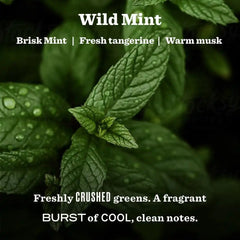 MRS. MEYER'S CLEAN DAY Garden Heirloom, Wild Mint Scent, 14 oz Candle | Fills Home with Long-Lasting Scent, Scented Soy Wax Candle, 65 Hour Burn TimeLarge
