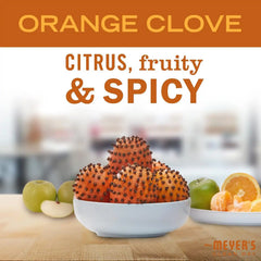 MRS. MEYER'S CLEAN DAY Liquid Dish Soap, Limitd Edition Orange Clove, 16 fl. Oz