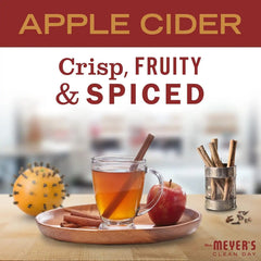 MRS. MEYER'S CLEAN DAY All-Purpose Cleaner Spray, Limited Edition Apple Cider, 16 fl. oz - Pack of 12