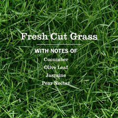 Mrs. MEYER'S Fresh Cut Grass Liquid Hand Soap 12.5 Fl Oz (Pack of 6)