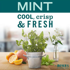 Mrs. MEYER'S CLEAN DAY Multi-Surface Everyday Cleaner, Mint Scent, 16 Fl Oz Bottle (Pack of 6)