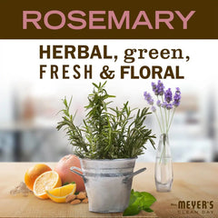 MRS. MEYER'S CLEAN DAY Liquid Dish Soap, Rosemary Scent, 16 ounce (Pack of 6) | Cuts Through Grease, Removes 48-Hour Stuck on Food, Cruelty Free, Made with Essential Oils and Aloe Vera Extract