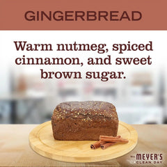 Mrs. MEYER'S CLEAN DAY Multi-Surface Everyday Cleaner, Gingerbread Scent, 16 Fl Oz Bottle, (Pack of 2)